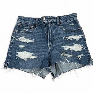 American Eagle Outfitters Curvy 90s boyfriend Shorts